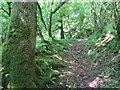 Llwybr Ty Grain / Ty Grain footpath