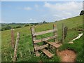 Llwybr Wenallt / Wenallt footpath