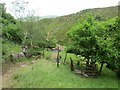 Nant Ffynnon Wen Stream