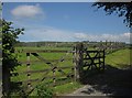SX6057 : Fences and gates, Little Stert by Derek Harper