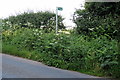 Footpath to Silverstone