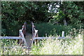 Footbridge on the path to Bradden