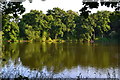 Evening view across fishing lake at Send