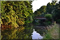 Evening light at Cartbridge on the River Wey Navigation