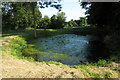 Pond by the church