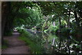 Basingstoke Canal at Brookwood