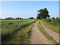 Farm track, Bushett Farm, Oxen End, Great Bardfield