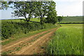 Bridleway down to the Knightley Way