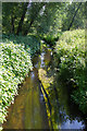 Bourne Brook from wooden footbridge