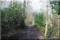 Blackwater Valley Path, Rowhill Reserve