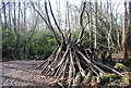 A hide? Rowhill Reserve