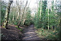 Blackwater Valley Path, Rowhill Reserve