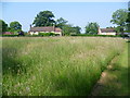 Green at Hosey Common