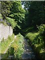 Path beside Nant Y Garth