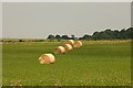 SK5776 : Hay bales near Castle Farm by Graham Hogg