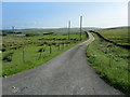 Access Lane to Far Pasture