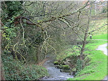 O1529 : Little Dargle River in northern Churchtown by jwd