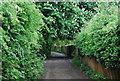 Tandridge Border Path