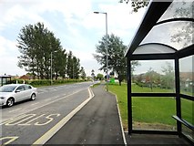 NZ3038 : Bus stop at Bowburn by Robert Graham