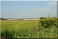 Arable land north of Skegby