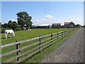 Thorns Hall Farm