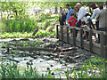 SP9713 : Crowds of Visitors at Clickmere Pond, Ashridge, Easter 2011 by Chris Reynolds