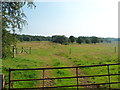 Fields near Burgess Farm