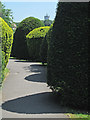 Shapes and shadows in Quarndon churchyard