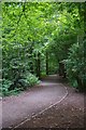 Permissive Path in Birchanger Wood