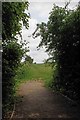 Path Out of Birchanger Wood