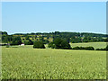 View from Tegg Down Road