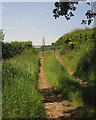 Field access track, Kingsmill Farm