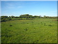 Fields near Penwenham