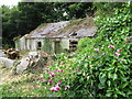 Derelict cottage on Audleystown Road