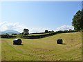 Field near Rhosyrwylfa, Nant-y-garth