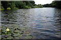 Broad Colney Lakes