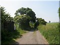 Public footpath on track from Ferryhill to Little Chilton and beyond