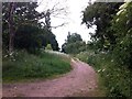 Footpath to Cogenhoe