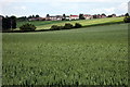 Imposing houses at Hatching Green