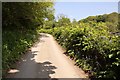 The road to Tarr Steps