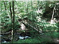 Wooden bridge over the Afon Cletwr near Erwood