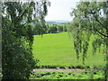 Pasture land by the River Spey