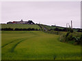 Barley field near Low Cocklaw