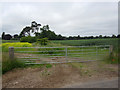 Field gateway east of Edrington House