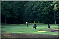 Golfers on the Rosemount Course, Blairgowrie Golf Club