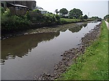 SD5921 : Drained canal at Wheelton by philandju