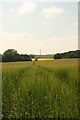 SK5576 : Footpath through the barley by Graham Hogg