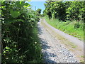 Track leading up to Polcoverack Farm