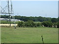 Grazing, Barr Common