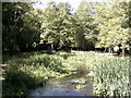 Meades Water Gardens, Chesham